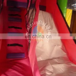 4.5x4.5x4m 0.55mmPVC Girls Favourite Sophia Princess Bounce House Combo for Fun thumbnail-3