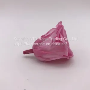 Wholesale3-4cm Elegant Real Touch Preserved Rose Flower thumbnail-5