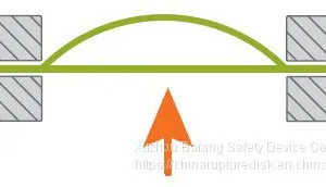Rupture Disc Device,bursting Disc, thumbnail-2