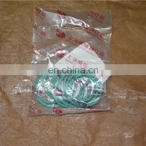 SAIC-IVECO GENELYON Parts O Ring Seal S00006162 thumbnail-1