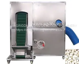 Full Automatic Garlic Bulb Separating and Peeling Machine thumbnail-2