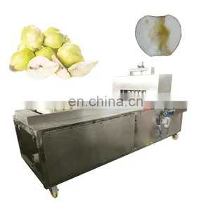 Competitive Price and High Quality Quinces Corer On Sale thumbnail-1