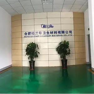 Hefei Gelandi WeiShengCaiLiaoYouXianGongSi company overview - view 2 thumbnail