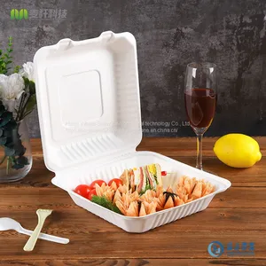 PFAS FREE Disposable Biodegradable 9*9 Take Away Sugarcane Bagasse Clamshell Container thumbnail-4