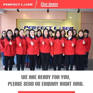 Perfect Laser Factory Price Hand Stamping Date Metal Letter Machine thumbnail-5