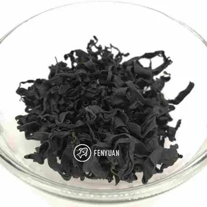 Wakame & Kombu (1)