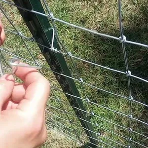 Hinged Joint Field Fence for Farm Livestock Sheep Wire Fencing Galvanized Wire Mesh Fence for Cattle Horse Sheep thumbnail-4