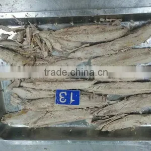 Frozen Pre-cooked Skipjack Tuna Loin Frozen Seafood thumbnail-1