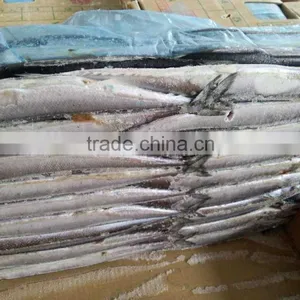 100 Gram Pacific Saury Cololabis Saira thumbnail-4