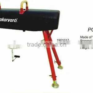 POMMEL HORSE thumbnail-1
