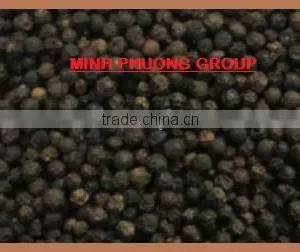 Black Pepper 550 Gr/L thumbnail-2