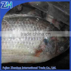 Wholesale Gutted Scaled Whole Tilapia thumbnail-1