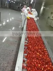 Qingdao DSF Foodstuff Co., Ltd. company overview - view 3 thumbnail