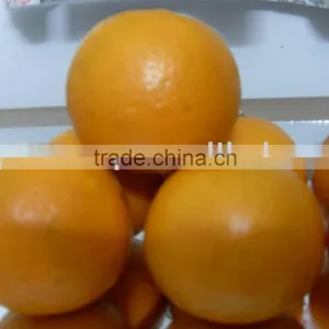 Mandarin Orange, Citrus Fruit From Pakistan thumbnail-1
