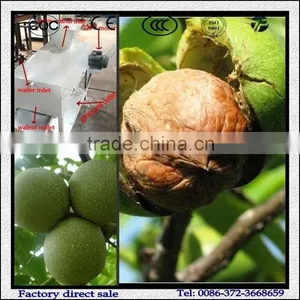 Stainless Steel Walnut Peeling Machine/Best Price For Green Walnut Peeler thumbnail-3