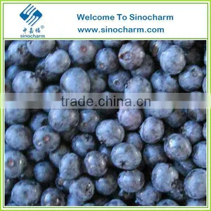 Hot Sale Bulk Frozen Blueberry Fruit thumbnail-1