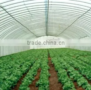 Tunnel Plastic Greenhouse thumbnail-1