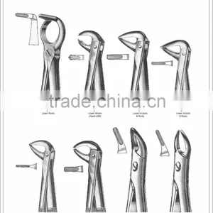 Dental Extraction Forceps English Pattern Stainless Steel 20042 thumbnail-1