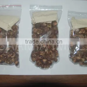 Bio Degradable Soap Nuts thumbnail-1