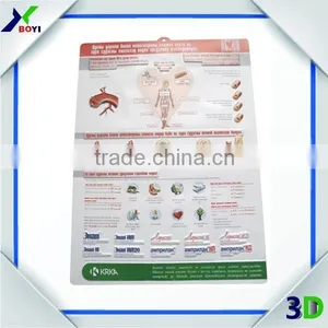 Custom Medical PVC 3D Poster thumbnail-4