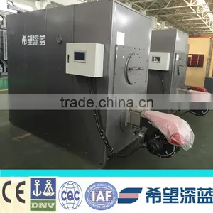 Natural Gas Boiler thumbnail-2