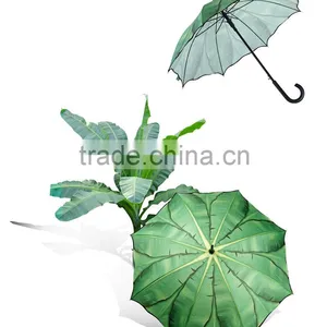 All Kinds of Cheap Promotional Umbrella With Fashion Design, Promotion Cheap Fashion Umbrella thumbnail-6