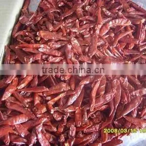 Red Chilli thumbnail-1