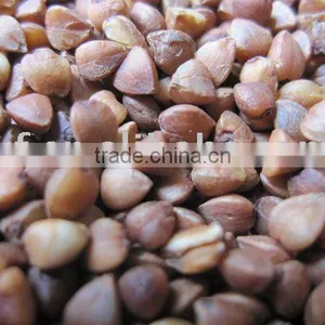 Chinese Buckwheat Kernel ,husks thumbnail-4