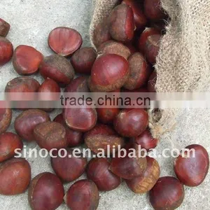 Frozen Chestnuts in 10kg Gunny Bag thumbnail-1