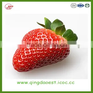 LiaoNing Province 2016 New Crop Fresh Strawberry for Sale thumbnail-4
