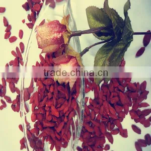 Top Quality Qinghai Dried Goji Berry for Sale thumbnail-1
