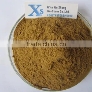 GMP Kosher Natural Hoodia Cactus Extract 10:1 thumbnail-1