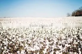 COTTON J34 thumbnail-2