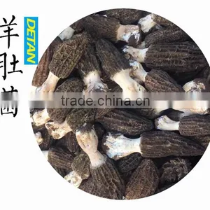 Dried Morchella Esculenta Made in China thumbnail-1