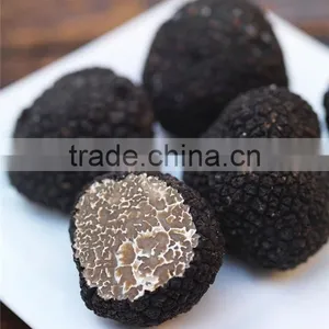 High Quality Wild Black Truffle 100% Wild Truffle for Sale thumbnail-3