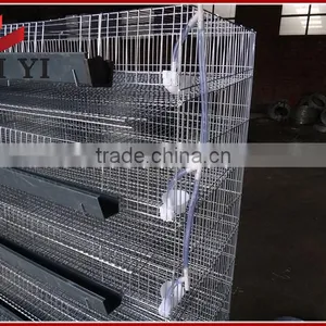 Layer Quail Cages For Sale From Direct Factory thumbnail-6