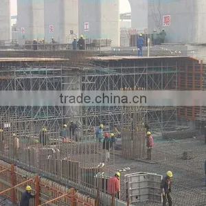 Scaffolding Accessory Protect Used in Construction Safety thumbnail-4