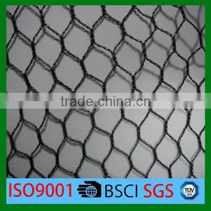 Long Life Quality Guarantee Agricultural Bird Catching Net Mesh Cloth thumbnail-3