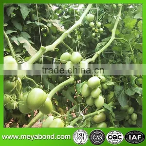 Hdpe Crop Hanging Support Net for Cucumber and Bitter Melon Vegetables thumbnail-6