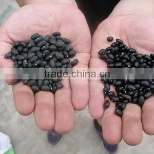 Soybean Mung Bean Cleaning Polishing Machine thumbnail-5