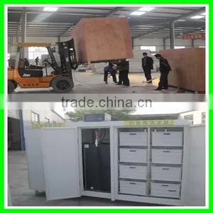 Lowest Price Automated Bean Sprouts Machine With Best Service thumbnail-6