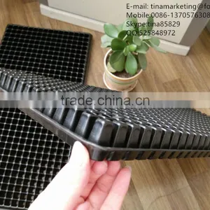512 Cell Black HIPS Plastic Nursery Seed Propagator Tray, Plastic Plant Seedling Trays China Manufactory Price thumbnail-4
