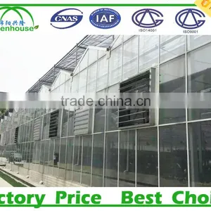 Vegetable Growing Intelligent Glass Greenhouse thumbnail-3