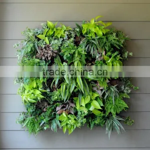 Living Wall Planter thumbnail-1