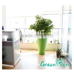Rectangular Plastic Plant With Water Indicator 100% Similar as Lechuza thumbnail-1
