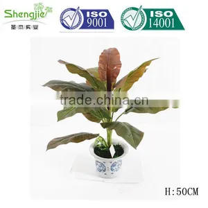 China, Guangdong Artificial Decor Bonsai for Sale thumbnail-1