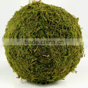 Handicraft Moss Ball thumbnail-2