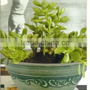 Nursery Pots thumbnail-1