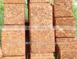 Outdoor Pathway Stone thumbnail-1