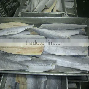 Frozen Spanish Mackerel Fillet thumbnail-1